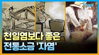 우리나라에 천일염이 도입된 시기ㅣ뉴튜브 사진관[75회] / YTN2