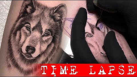 Wolf portrait - Tattoo time lapse ( Only 3RL )