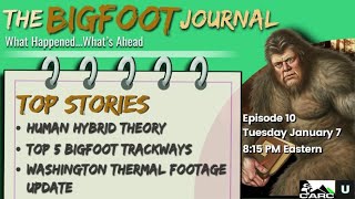 Human Hybrid Theory Challenges Bigfoot Beliefs | The Bigfoot Journal #10