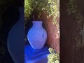 Jardin majorelle marakesh Morocco