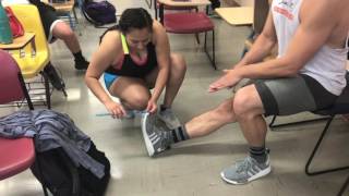 Flexibility Assessment