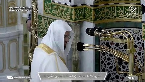 سورة النمل 65 - 81 | عشاء السبت 26 ذو القعدة 1446هـ | د. عبدالمحسن القاسم