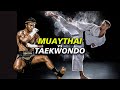 LUTADORES de MUAYTHAI vs FAIXAS PRETA de TAEKWONDO É INCRÍVEL de ASSISTIR