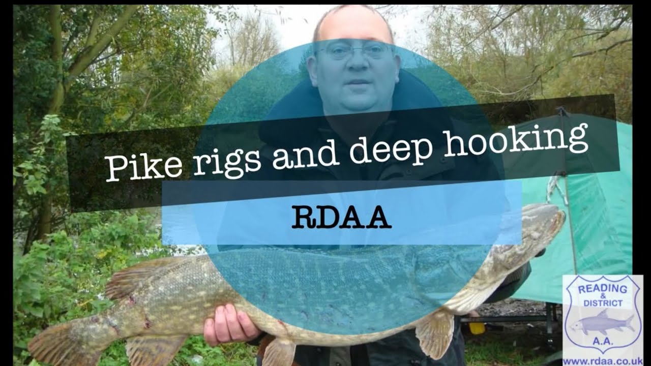 Pike rigs and how to avoid deep hooking : Reading & District Angling Association
