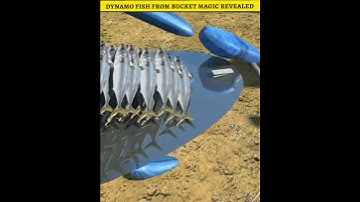 Dynamo vis uit emmer goocheltruc onthuld #usa #shorts