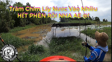 Câu Cá lóc Tràm Chim #3 || Nước Đỏ Ao Tràn Bờ || Phát Hiện mới...