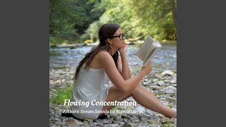 Concentration Stream Harmony