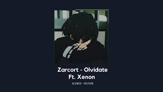 Zarcort  - Olvidate  Ft. Xenon 𝙎𝙇𝙊𝙒𝙀𝘿 + 𝙍𝙀𝙑𝙀𝙍𝘽