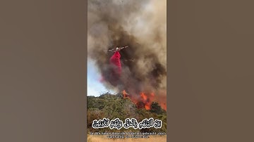 سورة المؤمنون  84-91   Sura Al-Mu'minun