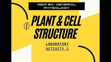 LAB 1 Recorded Pre-Lab Discussion & Activity Introduction
