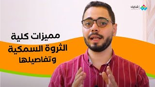 مميزات كلية الثروة السمكية والأقسام والتنسيق ووظائف الخريجين