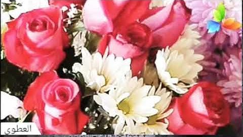 سورة التحريم،، الشيخ صلاح بو خاطر