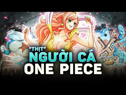 Video ONE PIECE | NGƯỜI CÁ & NHÂN NGƯ - CÙNG LÀ CÁ NHƯNG CÓ... - youtube