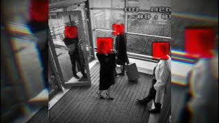 DYSTOPIA (ULTRA SLOWED   REVERB   ECHO)