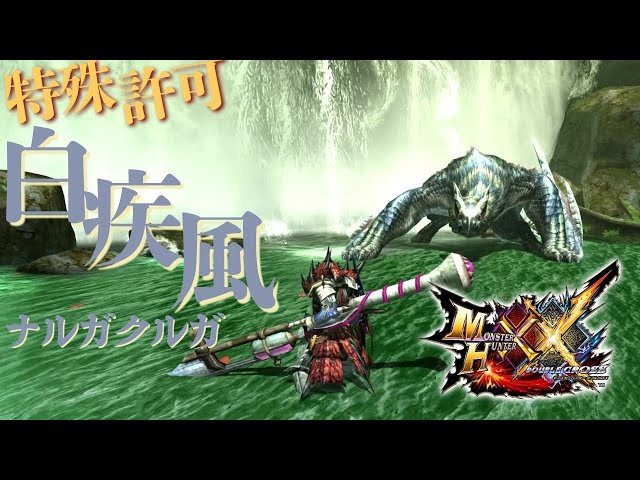 MHXX】操虫棍使いが二つ名の白疾風ナルガクルガに初見で挑む