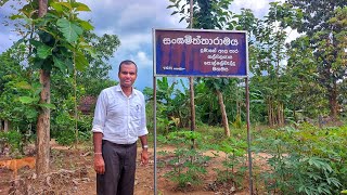 ශාසනාලෝක - 42 වන අදියර | ආරාම සංවර්ධන ව්‍යාපෘතිය | ශ්‍රි සංඝමිත්තා මෙහෙණි ආරාමය | මහඔය | 2026 මැයි |
