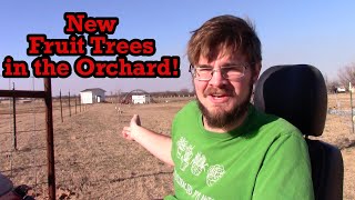 New Fruit Trees in the Orchard and New Projects Coming Up!