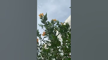 #اذكار_الصباح #اذكار_المساء