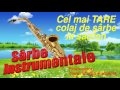 Colaj Non Stop de Sarbe la Saxofon si Acordeon, Foarte Tare 2017