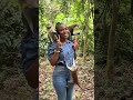 Monkeys having some good time with a tourist 🤭😂😂💯 #viralshortsvideo #viralvideo #adventures