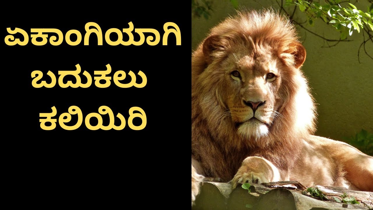 ಏಕಾಂಗಿಯಾಗಿ ಬದುಕಲು ಕಲಿಯಿರಿ  By Success Sutra