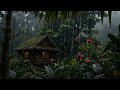 Fall Asleep Instantly 🌧️ Forest Rain Sounds | Deep Sleep, Relaxation & Stress Relief