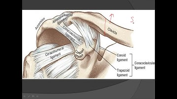 CRAIG CLASSIFICATION CLAVICLE FRACTURE