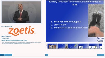 eBEVA Weabinar: SimonCurtis - Farriery Treatment for Mediolateral Deformities in Foals