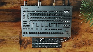 TR-1000: Thoughts, Discussion, and Production