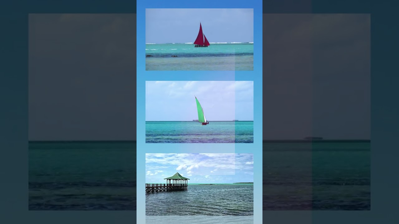 Toutes les vidéos