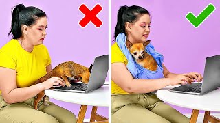 Genius Hacks And Gadgets For PET Owners