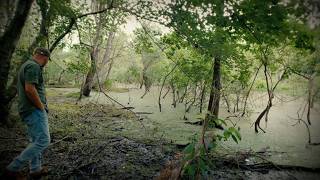 INTO THE SWAMP! Searching For More Alligators