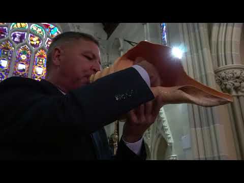 Syrinx Shell Demo - Don Chilton