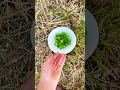 مين ما بحب الكرز