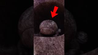 The BIGGEST PLOT HOLE in Miraculous (Part 3) #miraculous #miraculousladybug #mlb Wealth