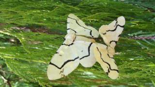 M4H06280.MP4