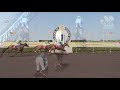 View race 2 video for 2020-09-12