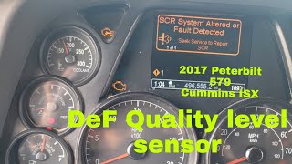 Day in the life of a Owner Operator DEF Quality level sensor goes out while Getting loaded!!