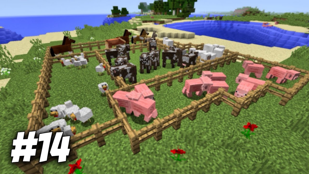 SO MANY ANIMALS! | Minecraft Survival (14) - YouTube