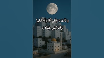 #سورة_هود #هيثم_الدخين #قران_كريم #قرآن#قران#تلاوة_خاشعة#تسبيح#اكسبلور