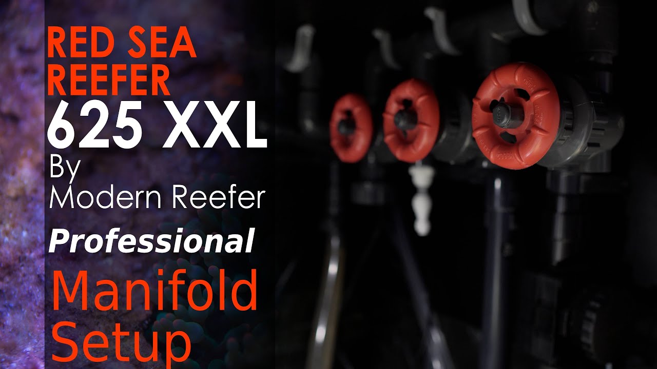Red Sea Reefer 625 Xxl Professional Simple Manifold Setup You Can Build It Yourself Youtube Red Sea Reefer 625 Xxl Professional Simple Manifold Setup You Can Build It Yourself Youtube