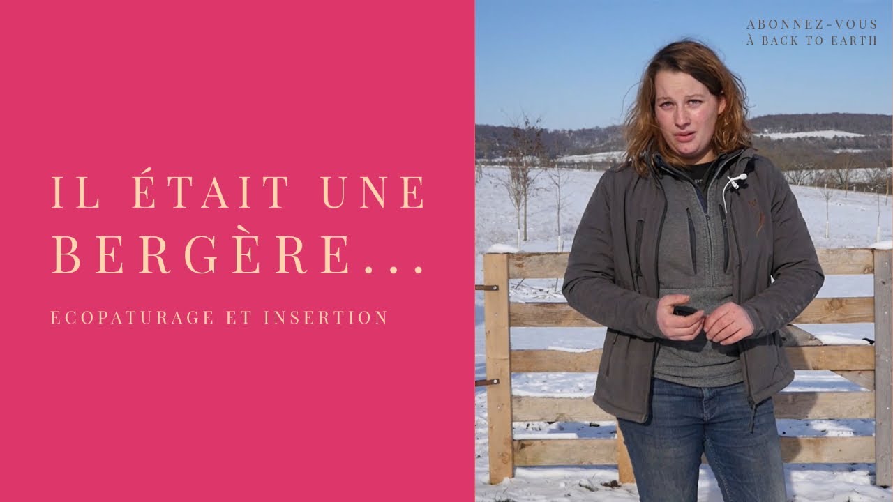 Il était une bergère - Ecopaturage et insertion