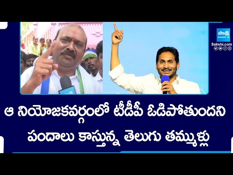 జగన్ జైత్ర యాత్ర | YSRCP to Clean Sweep In TDP Strong Constituencies | AP Elections | @SakshiTV - SAKSHITV