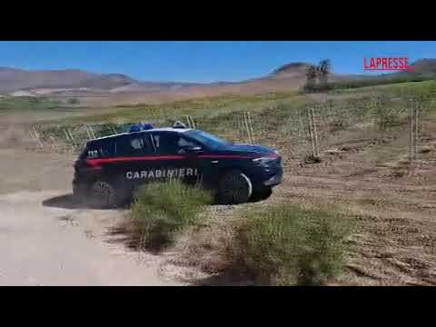 Video Trapani, lavoratore muore incastrato in macchinario per raccolta uva: sul posto i carabinieri