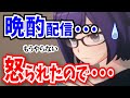 実は怒られていた、えーちゃんの晩酌配信【ホロライブ切り抜き】
