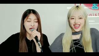 Cignatures Semi & Jeewon Covering Billlies Gingamino