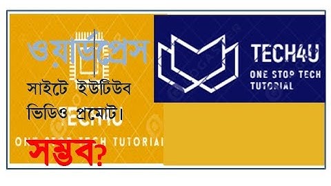 Ad Video Widget On SideBar Of WordPress WebSite