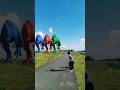 Big dinasaur Jurassic world t-rex part18#dinosour#trending #jurasscworld#vfxshorts#dinosour