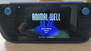 Animal Well, Steam Deck. FPS test and play! How does it run?