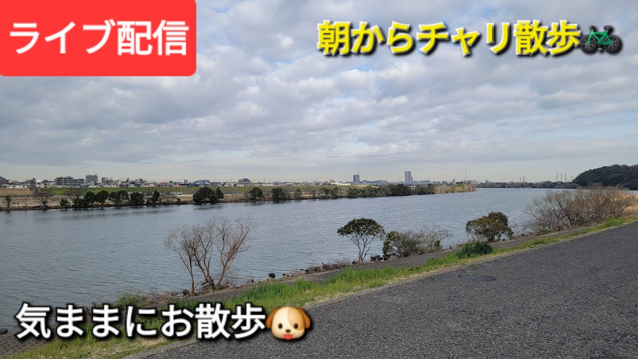 【ライブ配信】朝からチャリ散歩🚲気ままにお散歩🐶Shinsuke Handyman がライブ配信中！